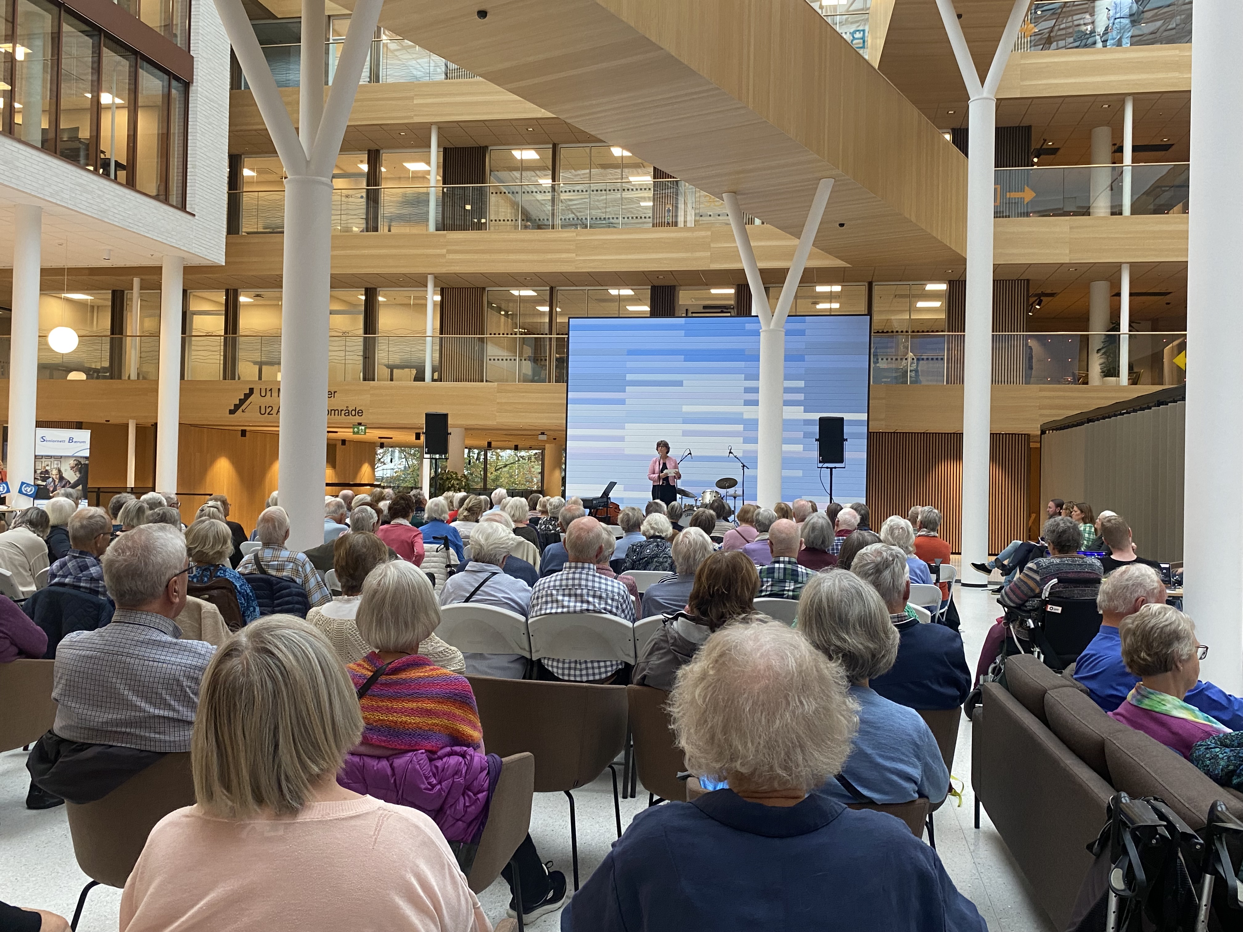 Lisbeth Hammer Krog taler foran publikum på FNs eldredag