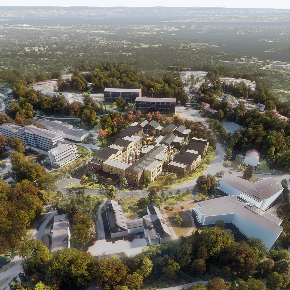 Carpe diem - perspektiv skisse