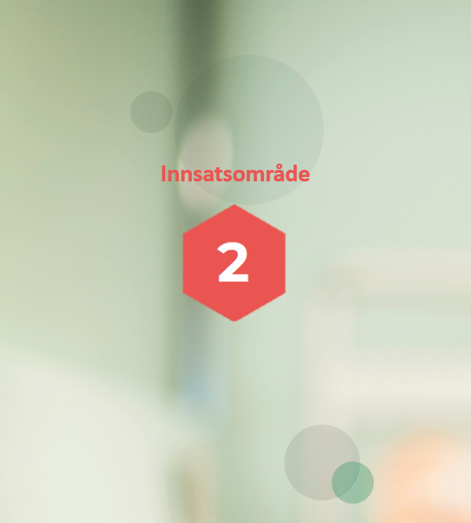 Innsatsområdet 2