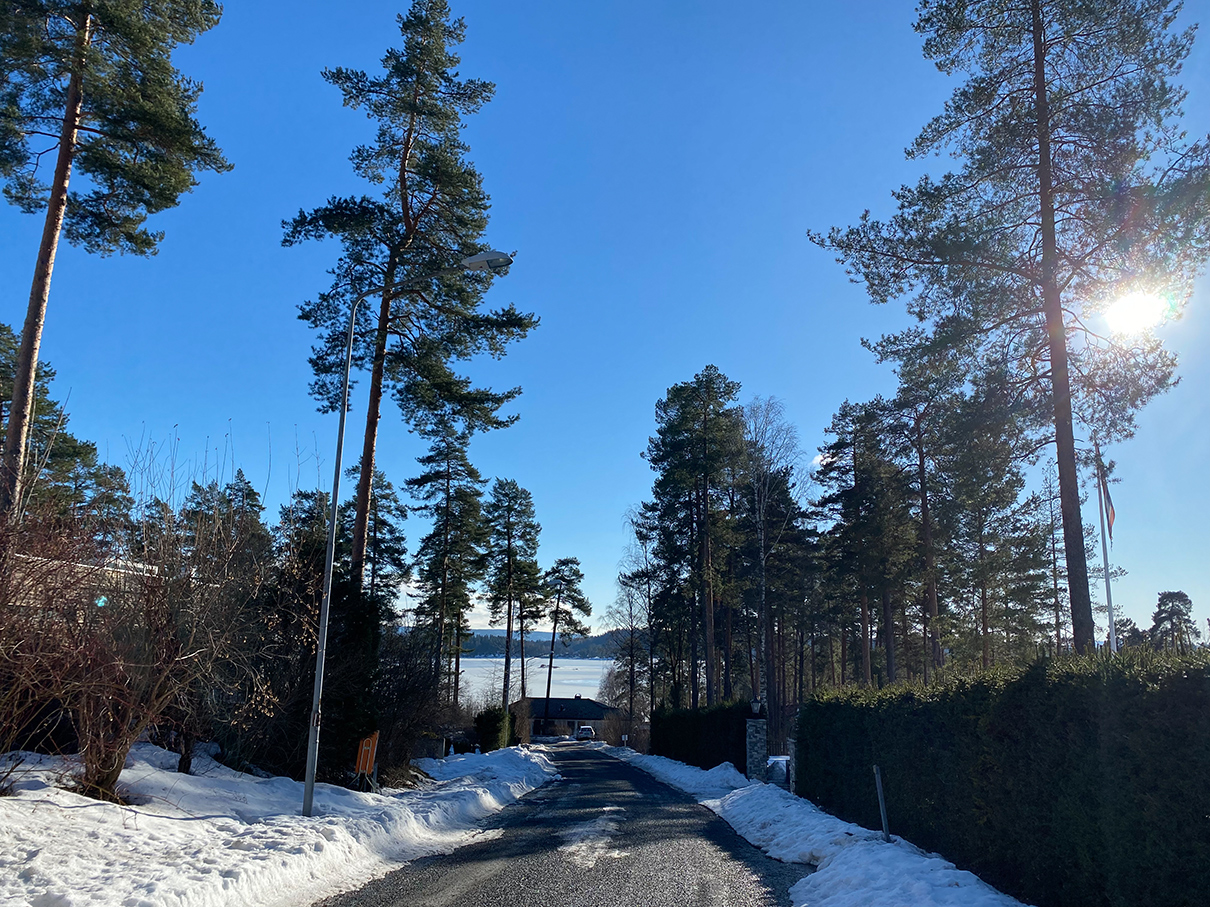 Bilder fra Plahteskogen.