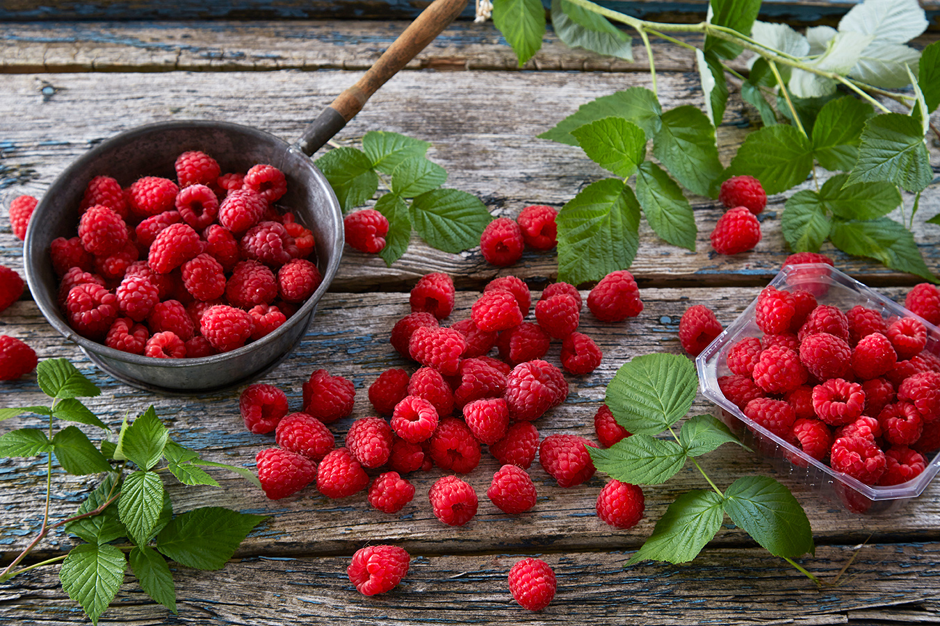 Bilde av grønnsaker og frukt - forsidebilde 