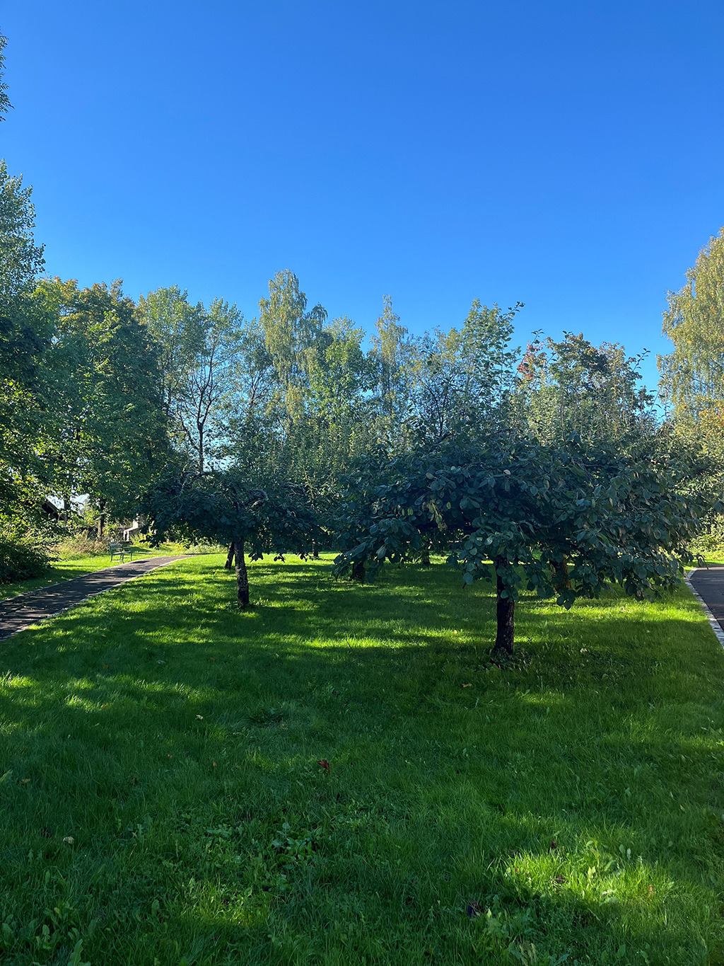 Hagen - Stabekk Helsehus og Hospice
