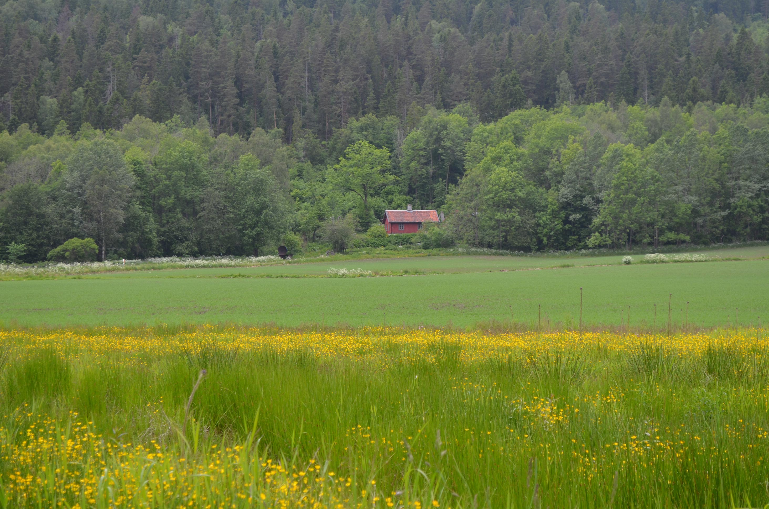 Småbruket Rølles i Dælivann-området