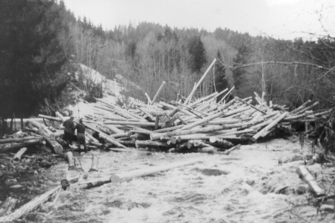 Tømmerfløting på Isielva